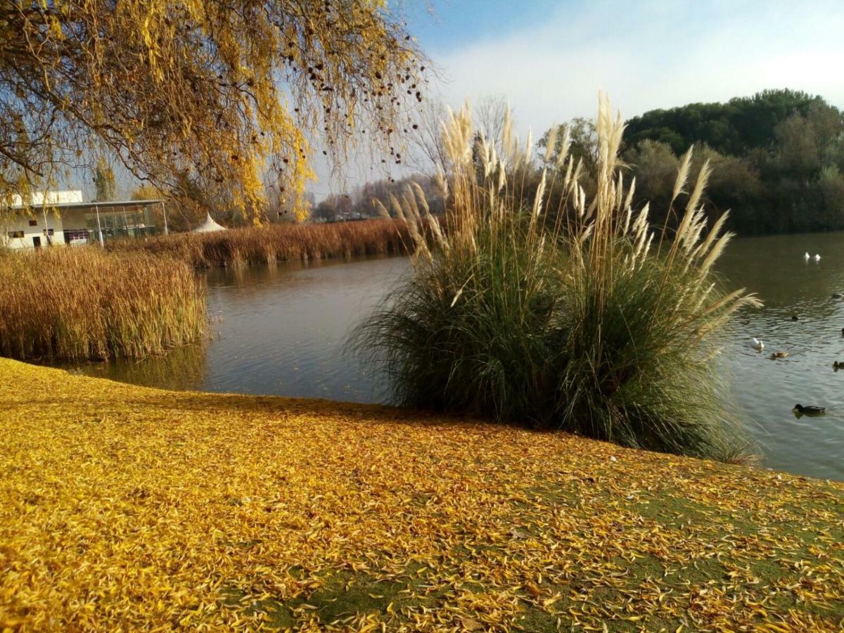 Apartmán La Laguna Laguna de Duero Exteriér fotografie