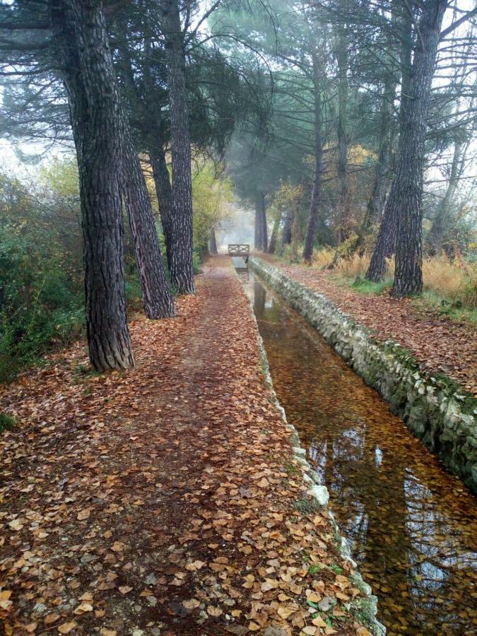 Apartmán La Laguna Laguna de Duero Exteriér fotografie